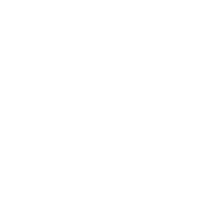 American Outfitters Logo