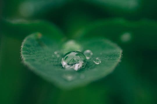 Sustainability Initiatives